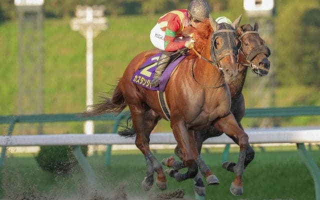 【佐賀記念】カズタンジャーなどJRA馬4頭