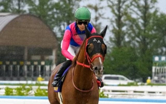 メイショウカズサが登録抹消…高知へ移籍予定