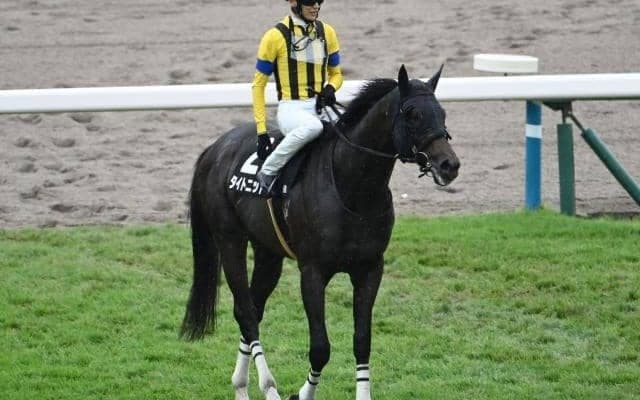 【今日の注目ポイント】京都でアルデバランSと3歳牝馬のエルフィンS