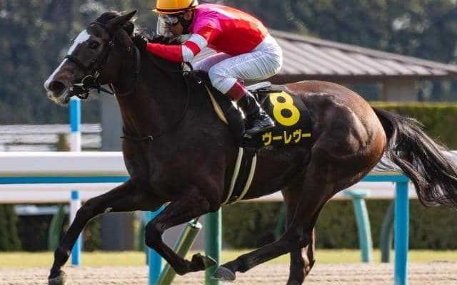 人気サイドで決着しやすいエルフィンS 押さえるべき超優秀データとは？