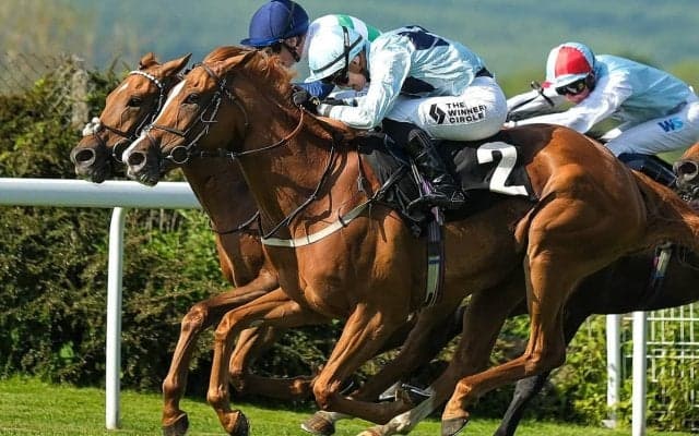 【東京新聞杯／穴ライズ】実績上位の盲点に一発の気配　「0.2.2.0」を味方に想定“2桁人気”が買いのチャンス