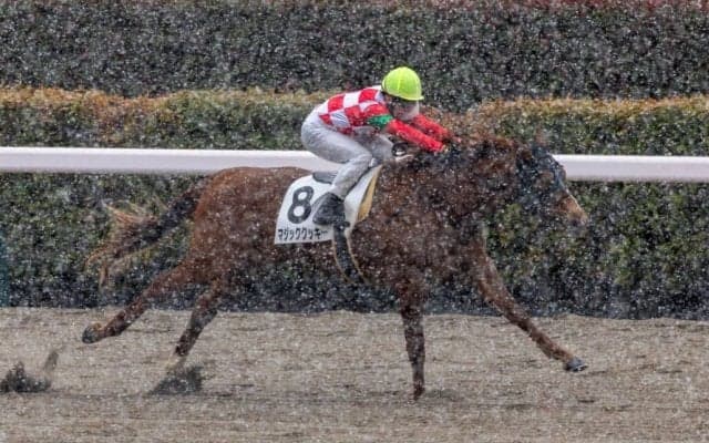 【東京7R】雪中決戦を制す！マジッククッキーが豪快5馬身差V