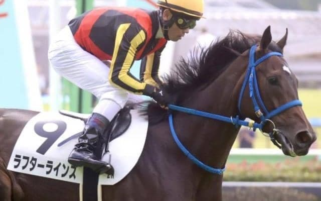 京都芝はディープ系が絶好調 きさらぎ賞はラフターラインズが波乱呼ぶ