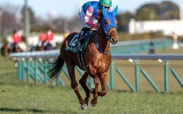 【今日の注目ポイント】雪の影響で小倉のみ開催