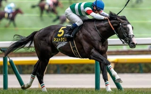 【UAE・アブダビゴールドC】日本のシュトラウスが新設レースの初代王者に輝く！