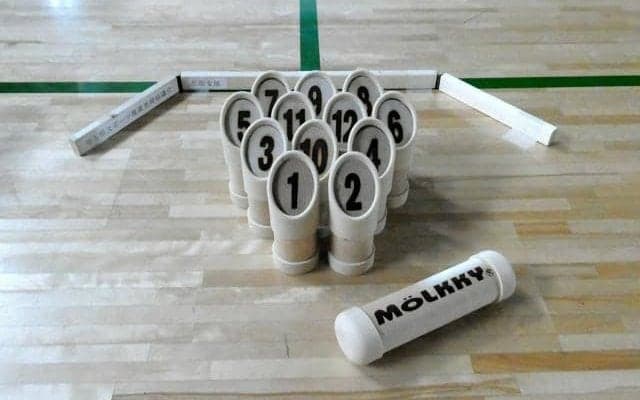 木の棒を投げるスポーツ「モルック」広がるか　指導者育成進む　埼玉