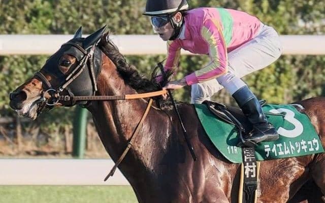 京都ダートは高速決着か 大和Sは最内テイエムトッキュウの逃げ切りだ