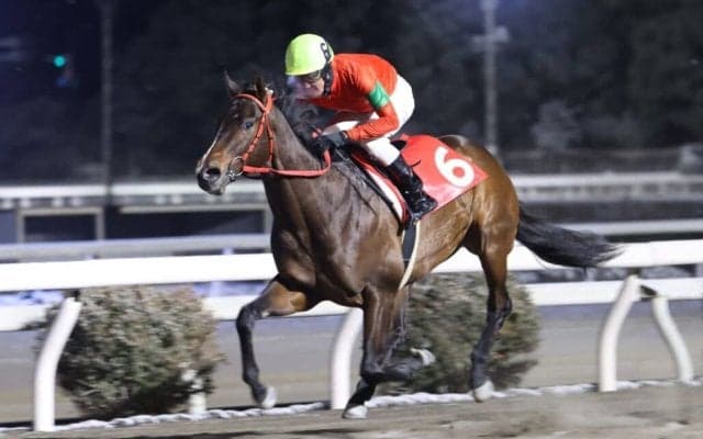 【高知・土佐有楽特別】クスダマ快勝、雑賀厩舎が上位独占ワンツースリー