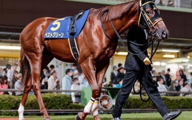 坂井瑠星騎手がサウジで地方馬とタッグ ホッカイドウ競馬史上2頭目の海外重賞制覇へ