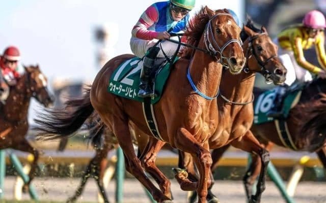 【今日の注目ポイント】東京で東京新聞杯と京都できさらぎ賞