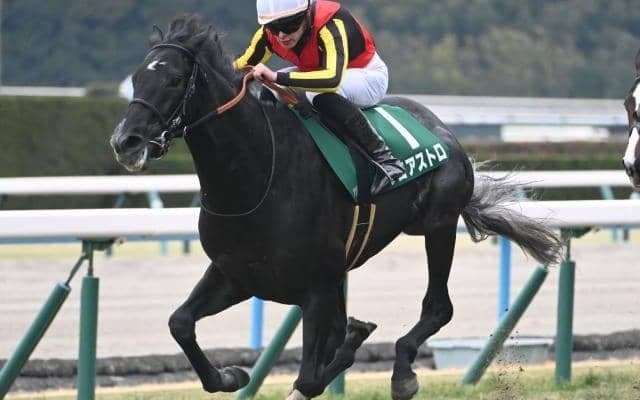 【きさらぎ賞結果】1番人気ゾロアストロが接戦制し重賞初制覇