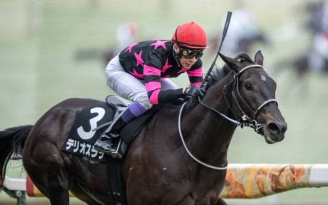 【初音S】武豊テリオスララの鮮やかな逃げ切り