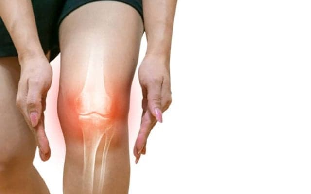 ゴルファーのための食事学『骨の健康にはきのこを食べよう!』