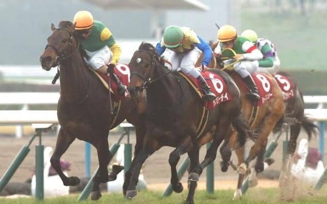 京都記念勝ち時計ランキング TOP5には「格上挑戦の劇的V」や「飛躍を予感させる快走」など