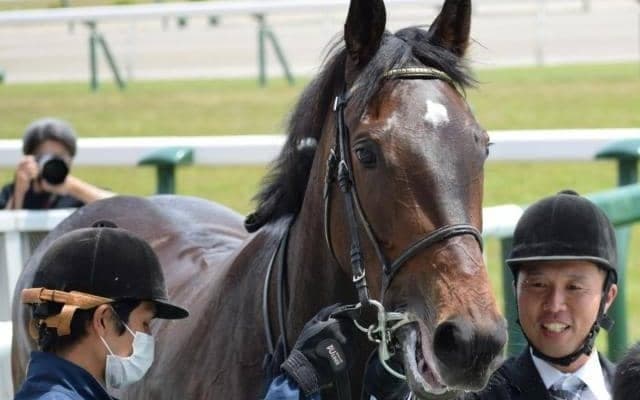 武豊騎手×ゴドルフィンのタッグが10年ぶりの重賞制覇へ 京都記念にホールネスで参戦