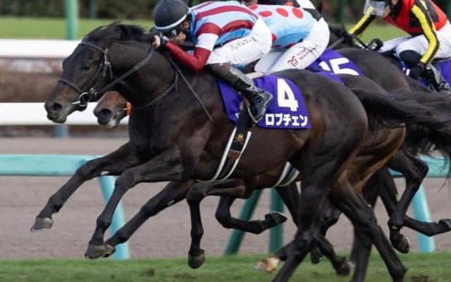 共同通信杯で\"6年連続勝利中\"の条件とは？ 今年該当する2頭に注目