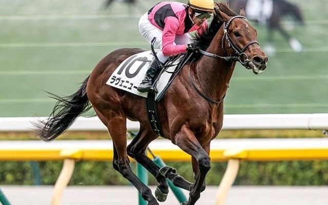 【共同通信杯】ロブチェン、ラヴェニューらが登録