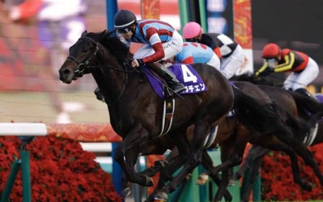 【共同通信杯登録馬】2歳王者ロブチェンなど11頭