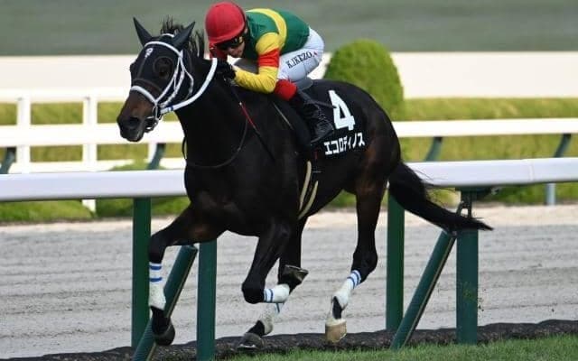 京都記念・共同通信杯など4重賞 WIN5キャリーオーバー/今週の競馬界の見どころ