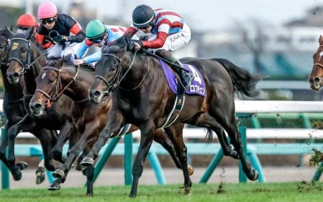 【共同通信杯想定騎手】ロブチェンは松山弘平騎手、リアライズシリウスは津村明秀騎手