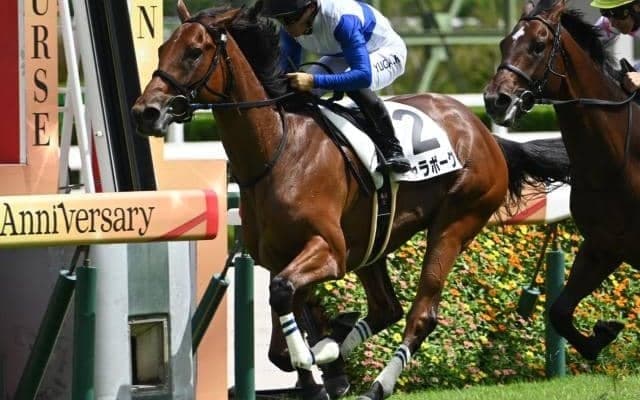 【クイーンC想定騎手】ギャラボーグは川田将雅騎手、ヒズマスターピースは佐々木大輔騎手