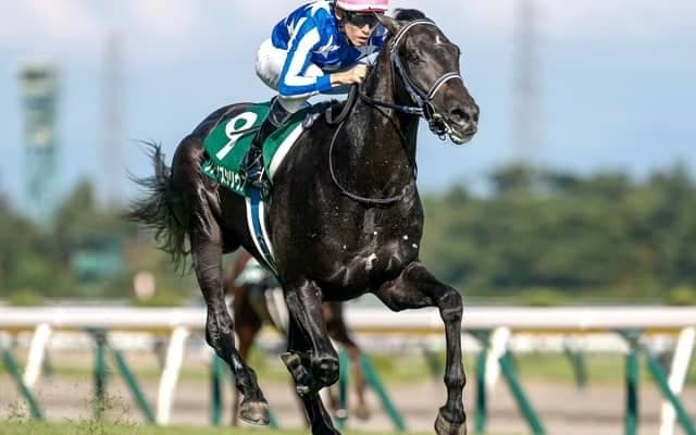 【共同通信杯見どころ】順調な仕上がりを見せるリアライズシリウス