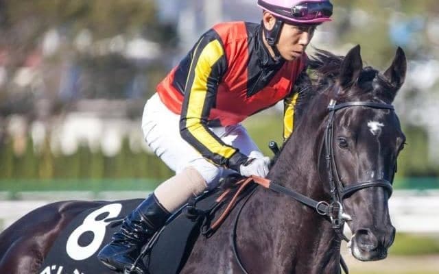 【共同通信杯】母は名牝クロノジェネシス ベレシートが重賞初制覇なるか