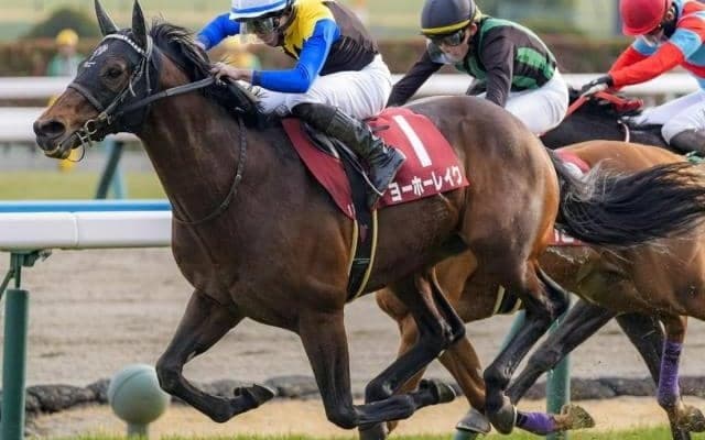 【京都記念】8歳ヨーホーレイク＆9歳バビット レース史上最高齢Vなるか