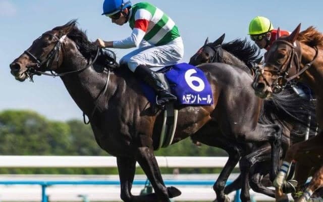 【京都記念】天皇賞(春)覇者のヘデントール グレード制導入以降の最長ブランクVなるか