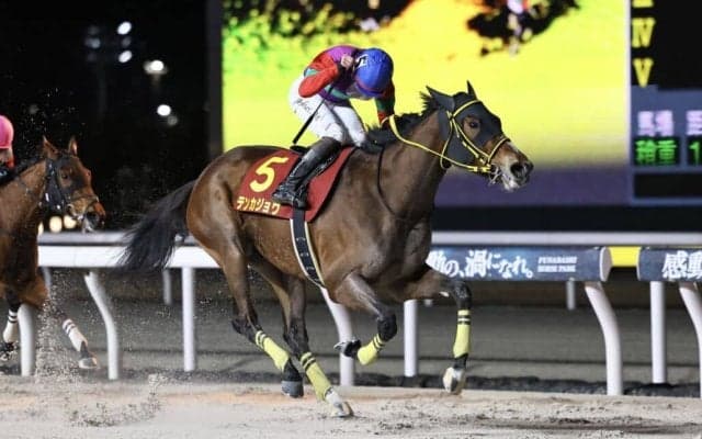 【クイーン賞】テンカジョウが交流重賞4勝目…2着は大井マーブルマウンテン