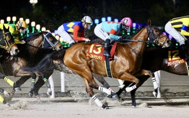 【クイーン賞】マーブルマウンテン移籍初戦でいきなり重賞2着、山本聡哉も能力絶賛
