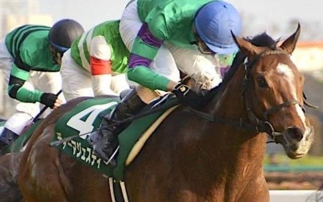 のちの皐月賞馬ディーマジェスティが制した共同通信杯を振り返る