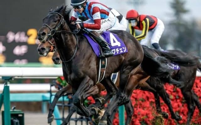 【共同通信杯展望】距離短縮組の好走データが後押し GI馬ロブチェンが重賞連勝へ