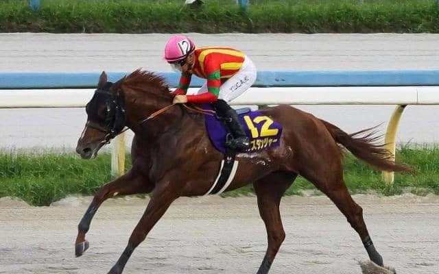 【佐賀記念注目馬】今年のダート中距離を占う一戦 中央・地方ともに実力馬が集う