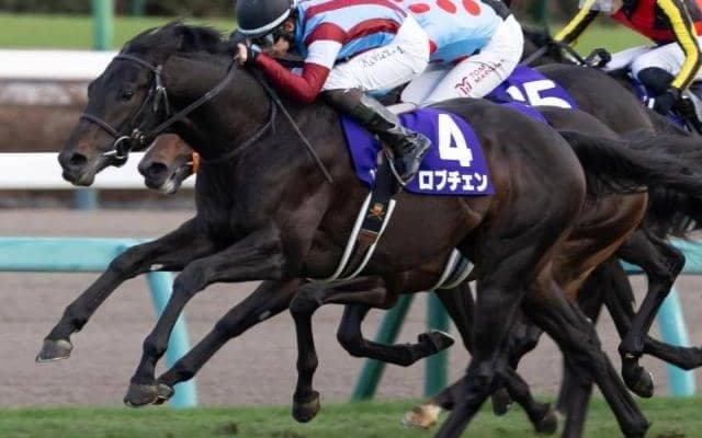 【共同通信杯】ホープフルS覇者のロブチェン ナリタブライアン以来32年ぶりGI勝ち馬の戴冠なるか