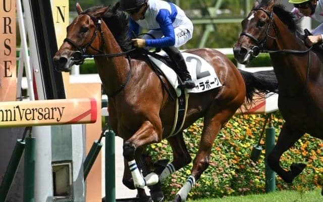 【クイーンC出走馬・騎手確定】ギャラボーグ＆川田将雅騎手、モートンアイランド＆R.キング騎手など16頭