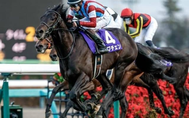 【共同通信杯出走馬・騎手確定】ロブチェン＆松山弘平騎手、リアライズシリウス＆津村明秀騎手など9頭