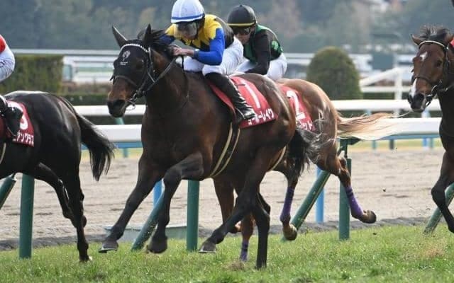 【京都記念予想】AIの注目馬はチャンス十分の8歳馬 大敗直後でも狙いたい強調材料とは