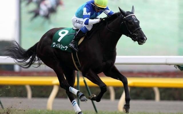 “大魔神”佐々木主浩氏の初タイトル 名牝系出身のヴィルシーナが12年クイーンCを制す