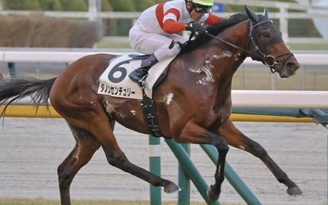 【雲雀S】セレクト2.1億円のフィエールマン産駒 ダノンセンチュリーが3連勝でオープン入り狙う