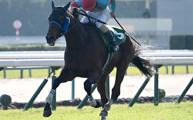 【小倉JS枠順確定】ローディアマントは2枠2番、ジューンベロシティは1枠1番