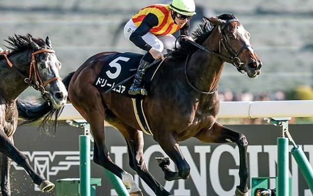 【クイーンC枠順確定】ドリームコアは1枠1番、ギャラボーグは5枠9番