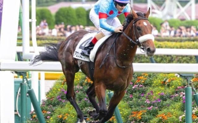 【箱根特別】名牝アーモンドアイの初仔 アロンズロッドが特別競走初勝利なるか