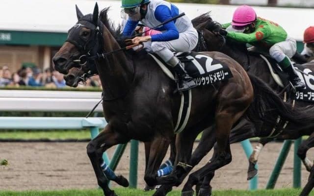 全兄はGI・2勝のダノンスマッシュ ハリウッドメモリーが3勝目狙う