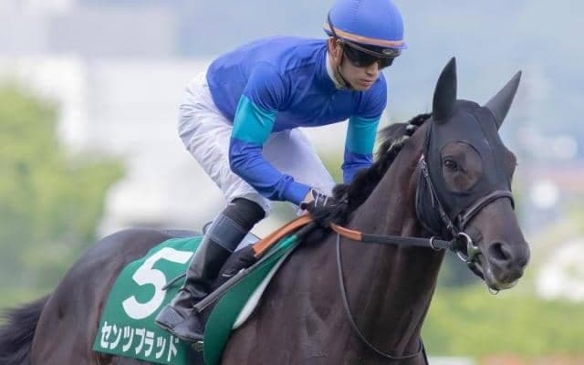 【小倉大賞典想定馬・騎手】センツブラッド、ショウナンアデイブなど23頭