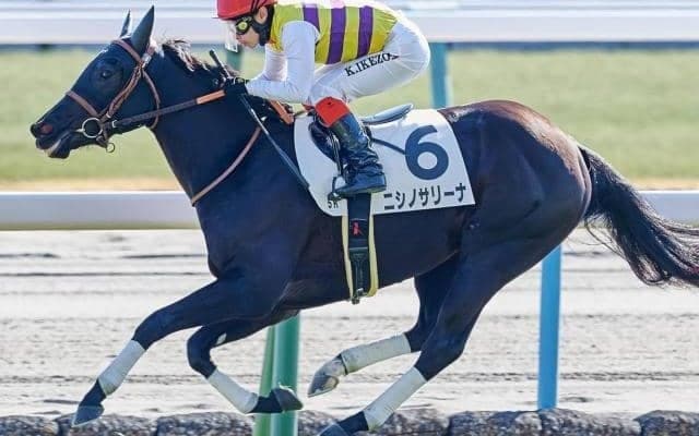 東京芝はシルバーステート産駒に要注意 クイーンCはニシノサリーナを狙い撃ち
