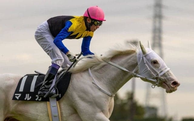 【武豊日記】色んな意味で難しい時期です