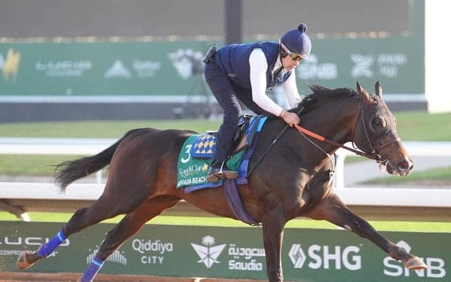 【競馬予想】サウジカップに臨む絶対王者フォーエバーヤングを脅かす存在はいるか？　気になる人気薄２頭