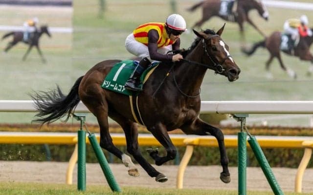【クイーンC】良血ドリームコアが重賞初制覇…母はノームコア