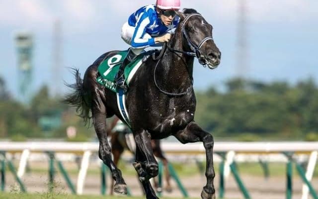 【共同通信杯予想】上がりの速い決着に対応できる馬が有利!? 切れ味に不安を感じる軽視したい人気馬とは